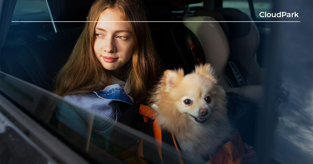 Estacionamento pet friendly: como criar uma experiência melhor para clientes e seus animais