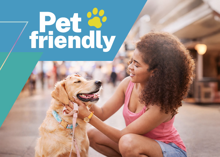 O que é um estacionamento pet friendly?